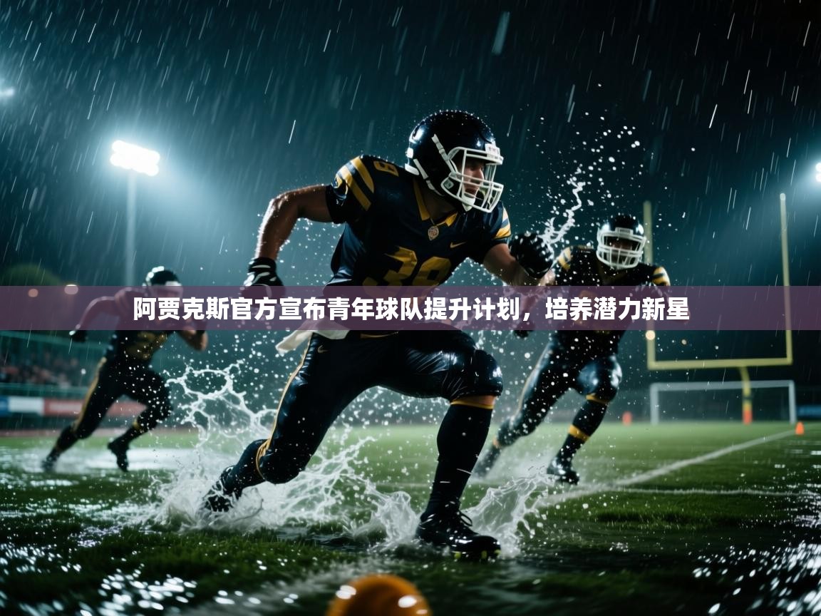 阿贾克斯官方宣布青年球队提升计划,培养潜力新星 第1张