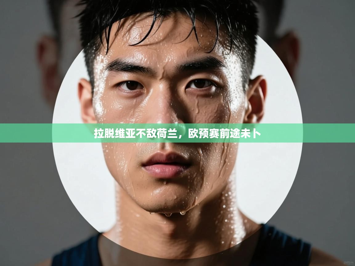 拉脱维亚不敌荷兰，欧预赛前途未卜  第1张