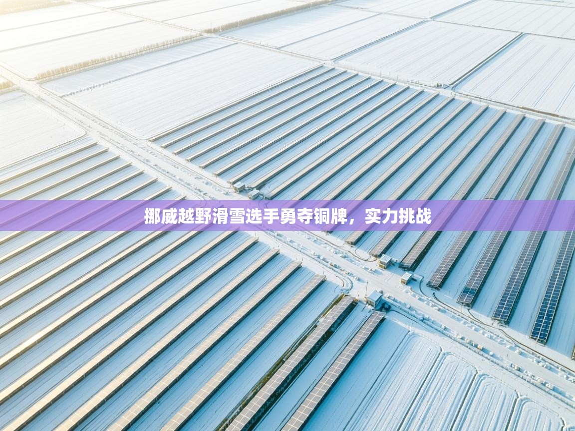 挪威越野滑雪选手勇夺铜牌，实力挑战  第1张