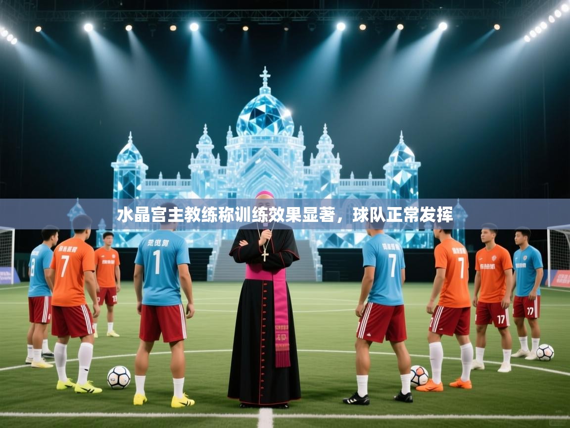 水晶宫主教练称训练效果显著,球队正常发挥 第1张